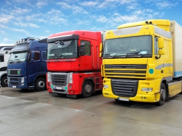 İzmir Sinop Nakliye